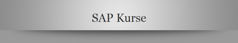 SAP Kurse